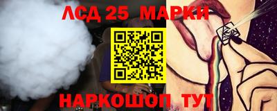 СК Канаш