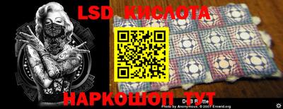 гидропоника Камышлов
