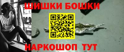 гидропоника Камышлов