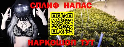 СК Канаш