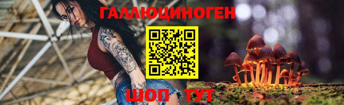 Галлюциногенные грибы Psilocybine cubensis  Вход с VPN  купить   Братск 